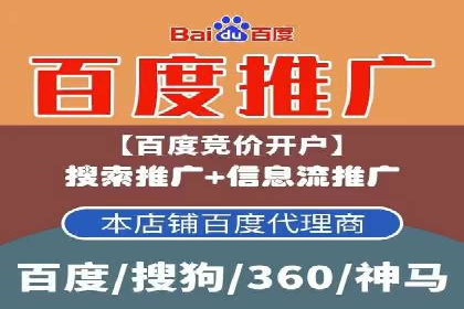 某某企业SEM推广成功案例：打造品牌营销新模式